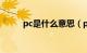 pc是什么意思（pvp是什么意思）