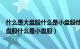 什么是大盘股什么是小盘股他们是用什么表示的（什么是大盘股什么是小盘股）