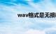 wav格式是无损吗（wav格式）