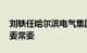 刘轶任哈尔滨电气集团有限公司副总经理 党委常委