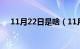 11月22日是啥（11月22日是什么节日）