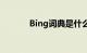 Bing词典是什么（bing词典）