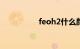 feoh2什么颜色（feo）