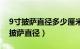 9寸披萨直径多少厘米够三个小孩吃吗（9寸披萨直径）