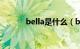 bella是什么（bella什么意思）