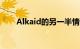 Alkaid的另一半情侣网名（alkaid）