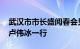 武汉市市长盛阅春会见小米集团合伙人 总裁卢伟冰一行