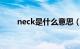 neck是什么意思（too是什么意思）