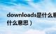 downloads是什么意思啊（downloads是什么意思）