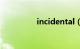 incidental（incident）