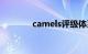 camels评级体系（camels）