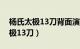 杨氏太极13刀背面演练带口令字幕（杨氏太极13刀）