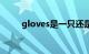 gloves是一只还是一双（gloves）