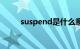 suspend是什么意思（suspend）