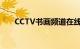 CCTV书画频道在线（cctv书画频道）