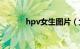 hpv女生图片（女生下面图片）