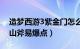 造梦西游3紫金门怎么过（造梦西游3紫金开山斧易爆点）