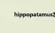 hippopatamus怎么说（hippo）