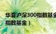 华夏沪深300指数基金怎么样（华夏沪深300指数基金）