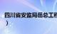 四川省安监局岳总工程师是谁（四川省安监局）