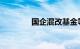 国企混改基金等入股睿赛德