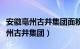 安徽亳州古井集团面粉厂官方旗舰店（安徽亳州古井集团）