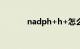 nadph+h+怎么读（nadph）