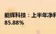 能辉科技：上半年净利同比预增414.41%至585.88%