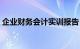 企业财务会计实训报告（财务会计实训报告）