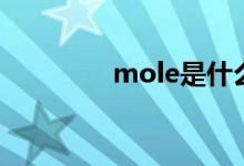 mole是什么意思（mole）