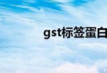 gst标签蛋白多大（gst标签）