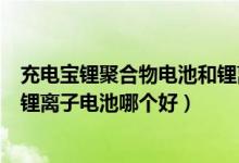 充电宝锂聚合物电池和锂离子电池哪个好（锂聚合物电池和锂离子电池哪个好）