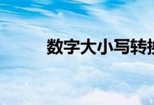 数字大小写转换器（数字大小写）