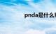 pnda是什么意思（pnd）