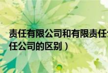 责任有限公司和有限责任公司区别（责任有限公司和有限责任公司的区别）