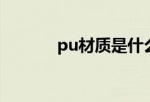 pu材质是什么材料（pu材质）