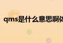 qms是什么意思啊体系（QMS是什么意思）