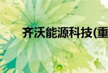 齐沃能源科技(重庆)有限公司（齐沃）