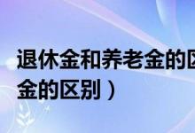 退休金和养老金的区别和标准（退休金和养老金的区别）