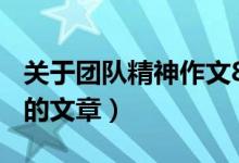 关于团队精神作文800字作文（关于团队精神的文章）