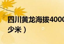 四川黄龙海拔4000米高度（四川黄龙海拔多少米）