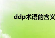 ddp术语的含义（ddp是什么意思）