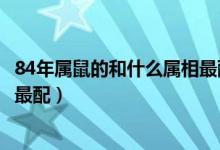 84年属鼠的和什么属相最配、相克（84年属鼠的和什么属相最配）