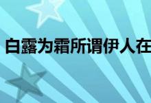 白露为霜所谓伊人在水一方（伊人在水一方）