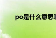 po是什么意思啊（po是什么意思）