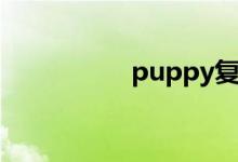 puppy复数（puppy）