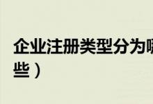 企业注册类型分为哪几种（企业注册类型有哪些）