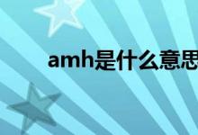 amh是什么意思（amt是什么意思）