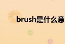 brush是什么意思（br是什么意思）