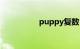 puppy复数（puppy）